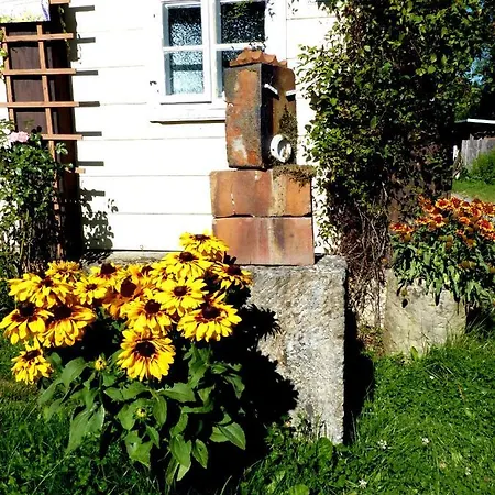 Ein Platz Fuer Ruhe Und Naturgenuss アパート *