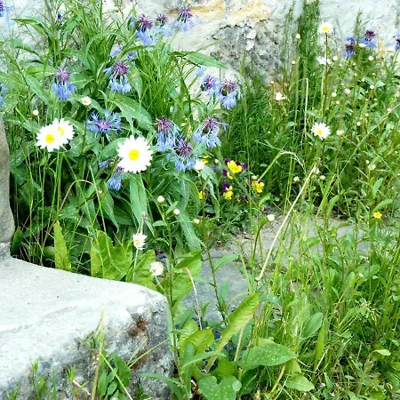 Ein Platz Fuer Ruhe Und Naturgenuss * Sebnitz